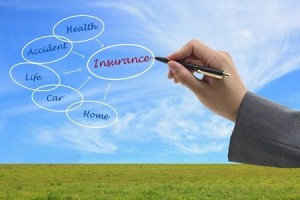 Loss Assessor Inurance Companies Pro Insurance Claim