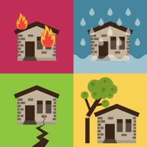 storm damage - loss assessor - pro insurance claims