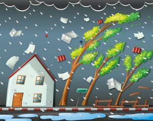 Pro-Insurance-Claims-Hurricane-Ophelia-Loss-Assessor