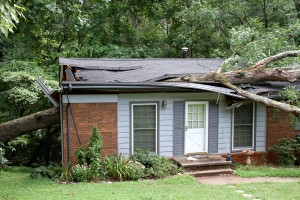 Storm Damage